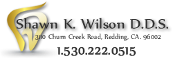 Shawn K Wilson, DDS